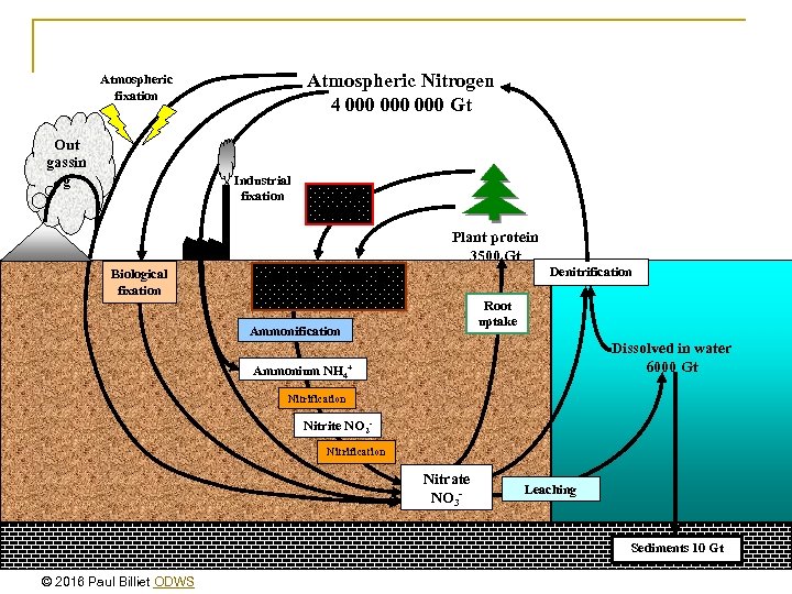 Atmospheric Nitrogen 4 000 000 Gt Atmospheric fixation Out gassin g Industrial fixation Animal