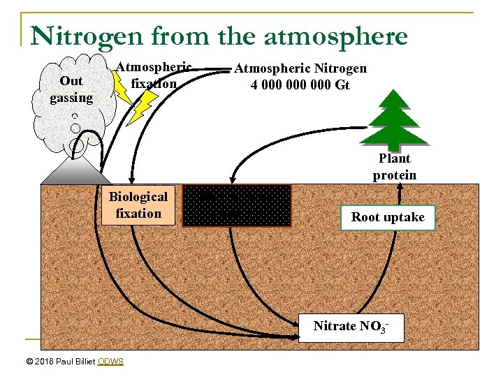 Nitrogen from the atmosphere Out gassing Atmospheric fixation Atmospheric Nitrogen 4 000 000 Gt