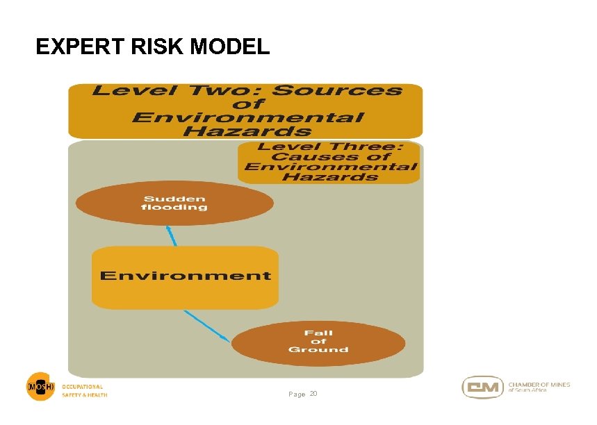 EXPERT RISK MODEL Page 20 
