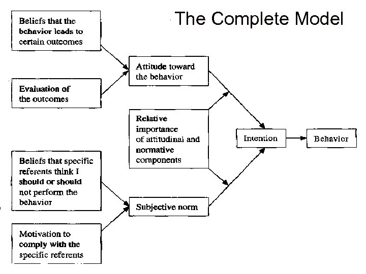 The Complete Model 