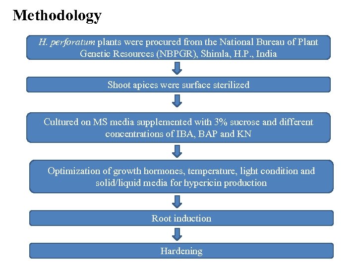 Methodology H. perforatum plants were procured from the National Bureau of Plant Genetic Resources