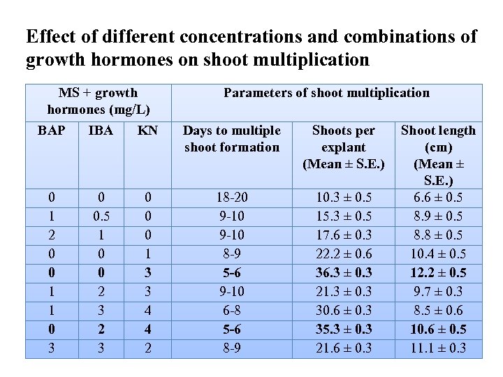 Effect of different concentrations and combinations of growth hormones on shoot multiplication MS +