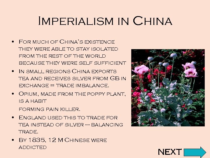 Imperialism in China • For much of China’s existence they were able to stay