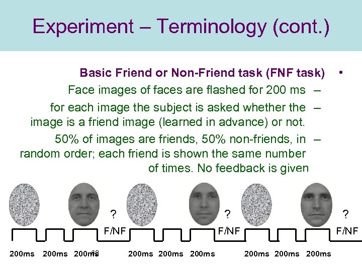 Experiment – Terminology (cont. ) Basic Friend or Non-Friend task (FNF task) Face images