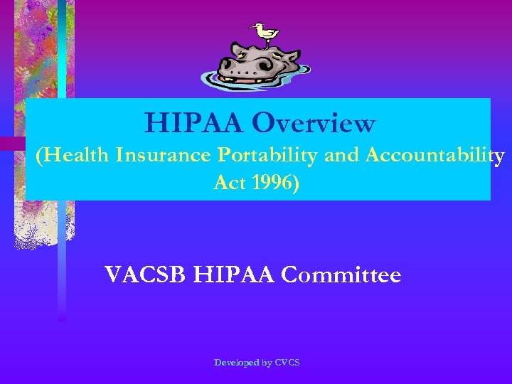 HIPAA Overview (Health Insurance Portability and Accountability Act 1996) VACSB HIPAA Committee Developed by