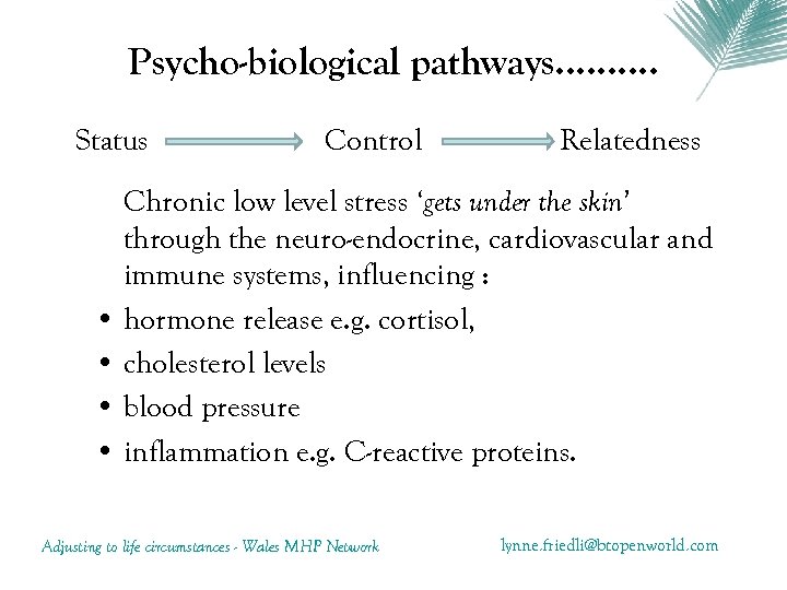 Psycho-biological pathways. . Status Control Relatedness Chronic low level stress ‘gets under the skin’