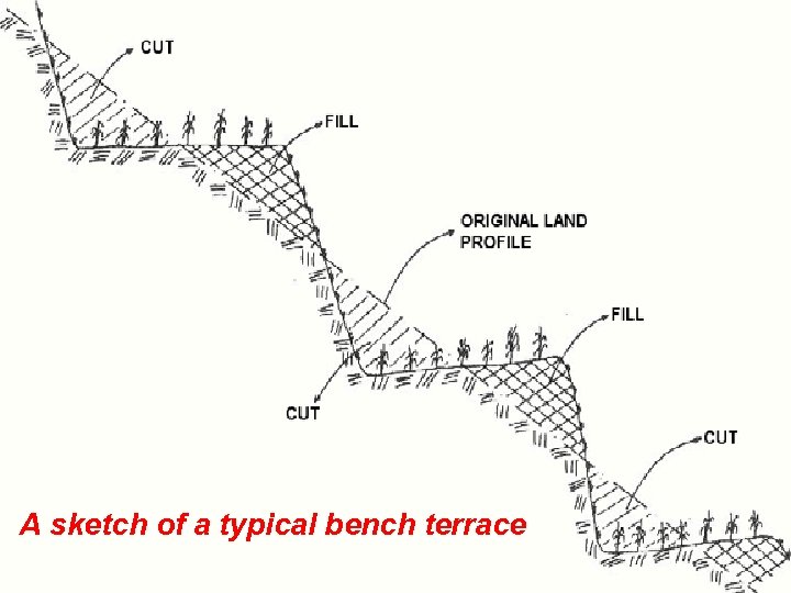 . A sketch of a typical bench terrace 