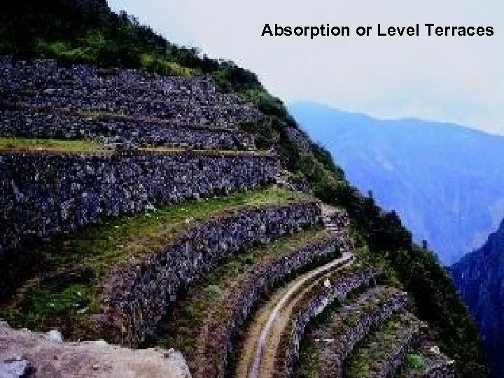 Absorption or Level Terraces 