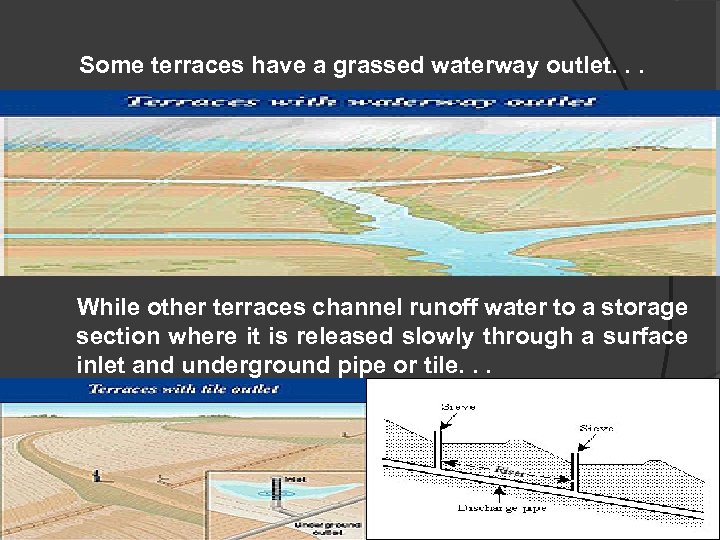  Some terraces have a grassed waterway outlet. . . While other terraces channel