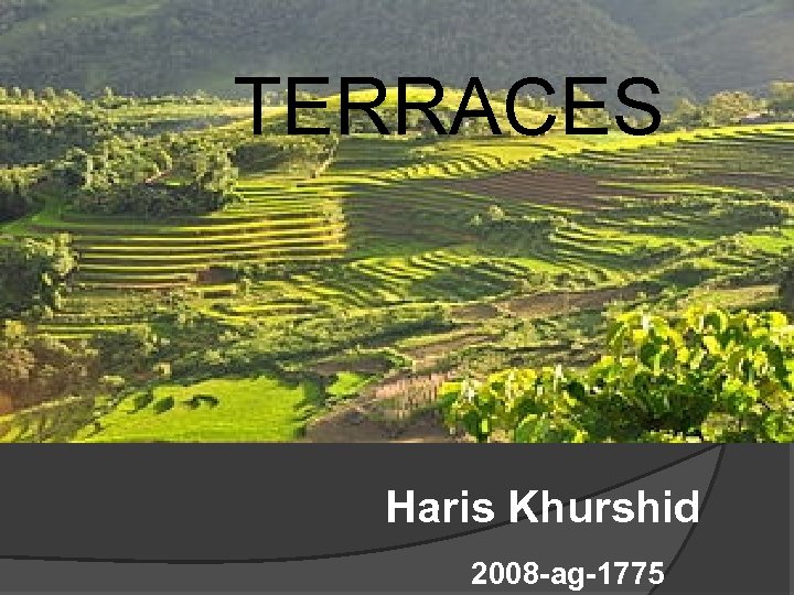 TERRACES Haris Khurshid 2008 -ag-1775 