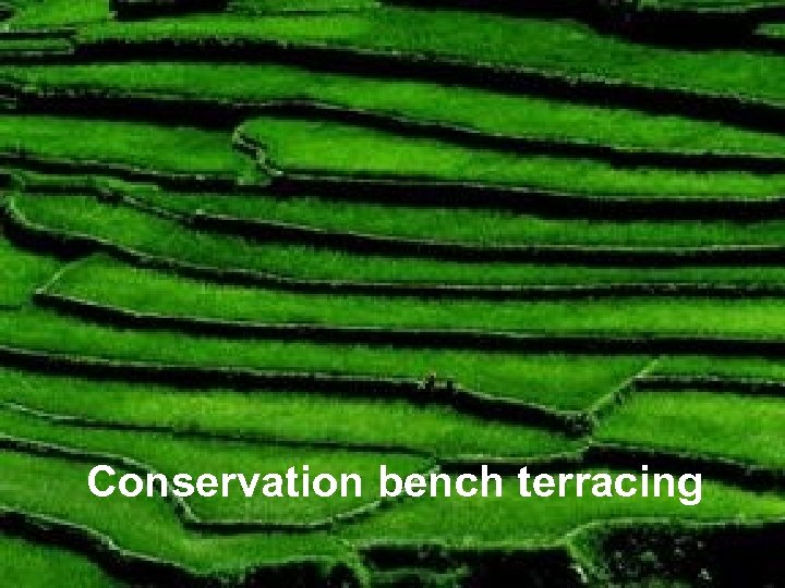 Conservation bench terracing 