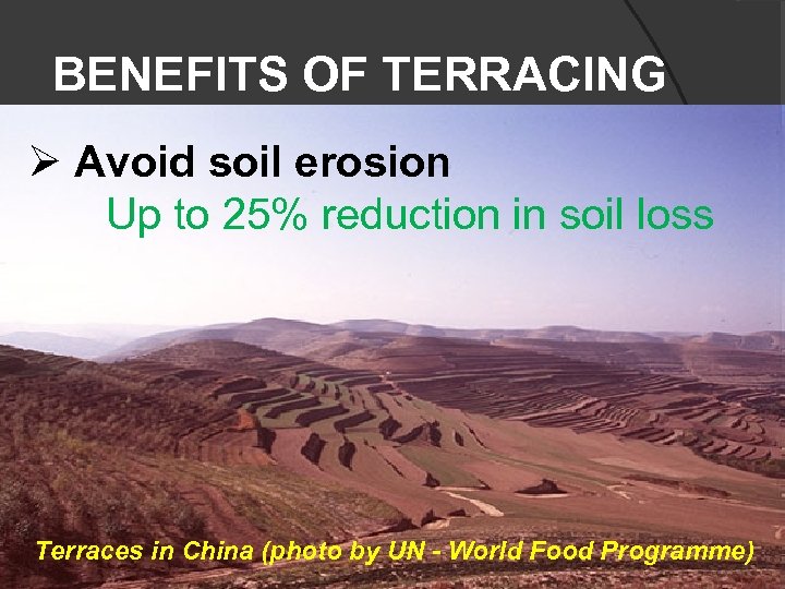 BENEFITS OF TERRACING Ø Avoid soil erosion Up to 25% reduction in soil loss