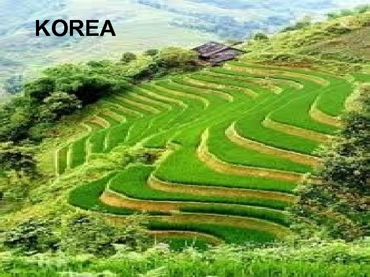 KOREA 