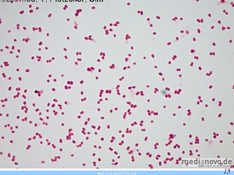 Made with Open. Office. org 15 