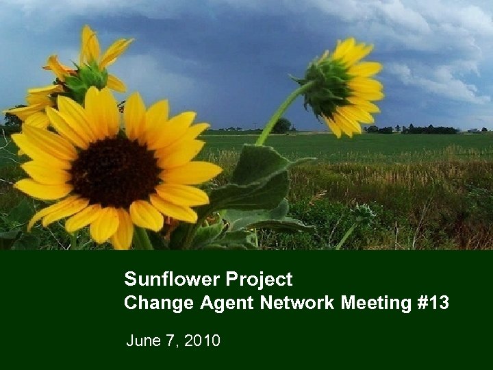 Sunflower Project Change Agent Network Meeting #13 June 7, 2010 1 