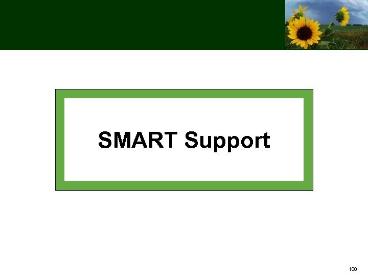 SMART Support 100 