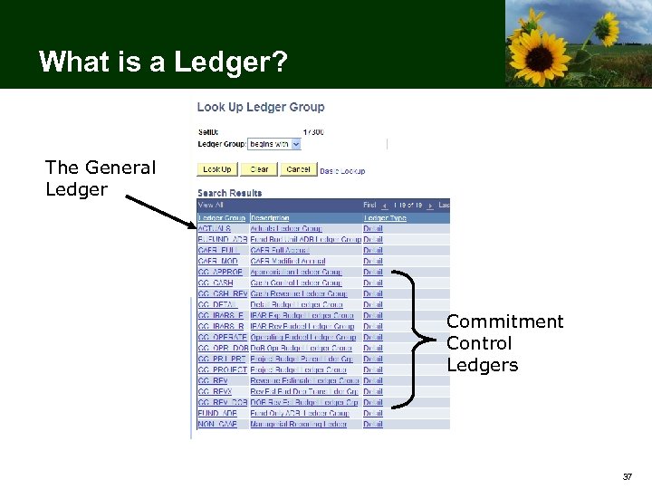 What is a Ledger? The General Ledger Commitment Control Ledgers 37 