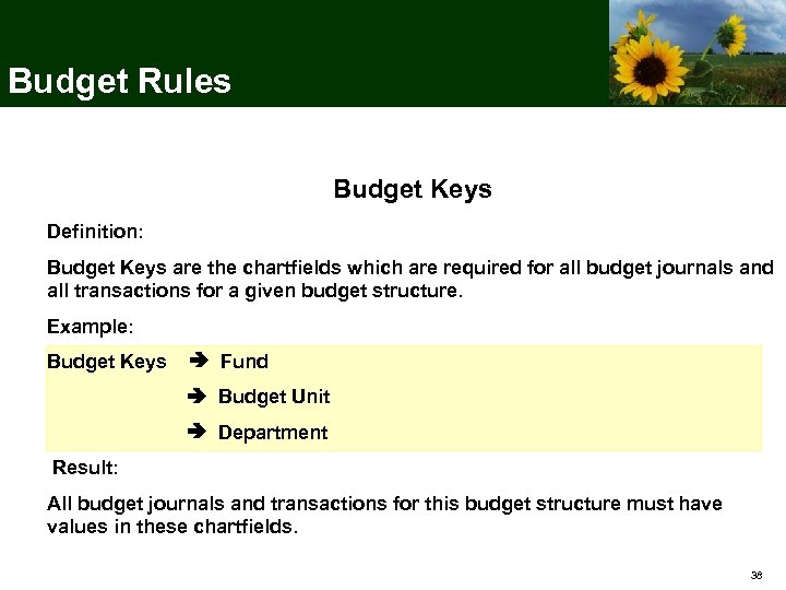 Budget Rules Budget Keys Definition: Budget Keys are the chartfields which are required for
