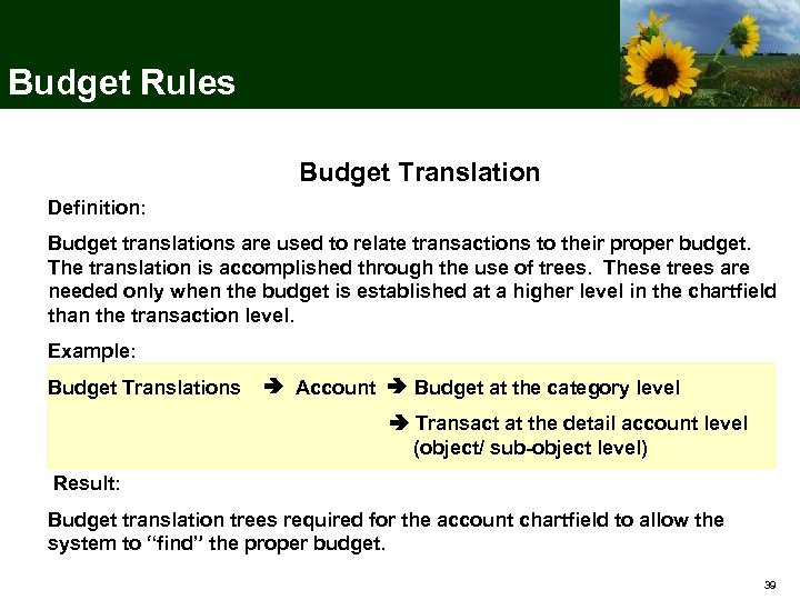 Budget Rules Budget Translation Definition: Budget translations are used to relate transactions to their