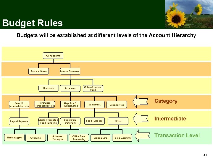 Budget Rules Budgets will be established at different levels of the Account Hierarchy All