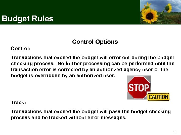 Budget Rules Control Options Control: Transactions that exceed the budget will error out during