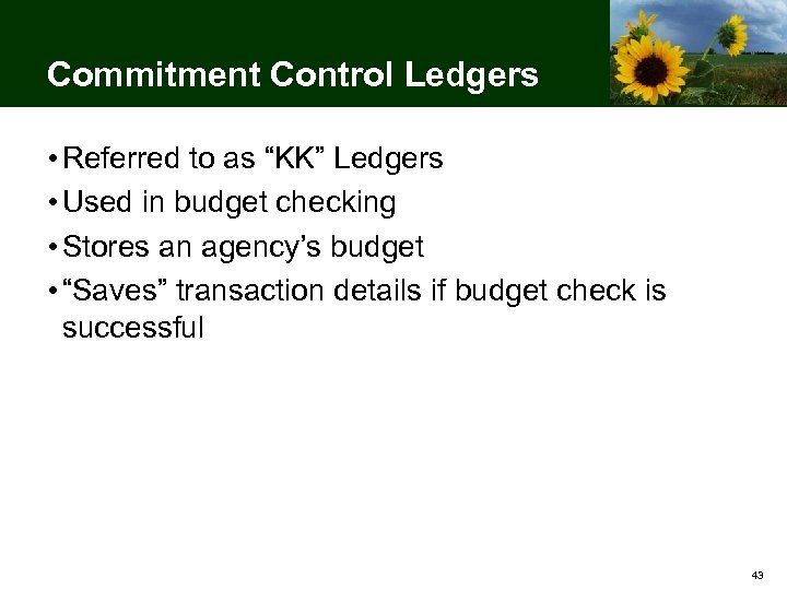Commitment Control Ledgers • Referred to as “KK” Ledgers • Used in budget checking