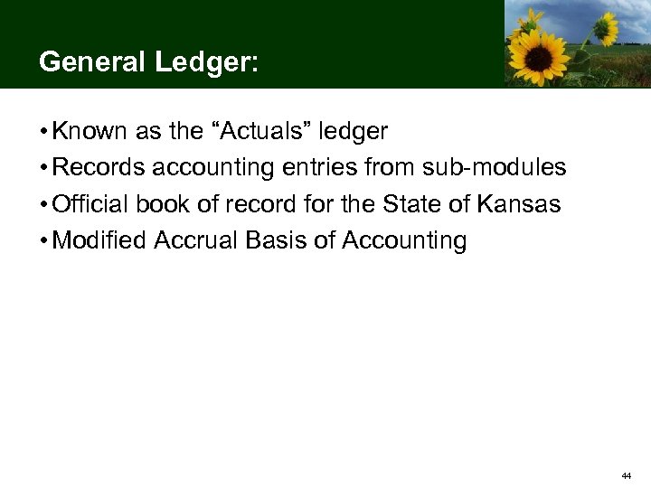 General Ledger: • Known as the “Actuals” ledger • Records accounting entries from sub-modules