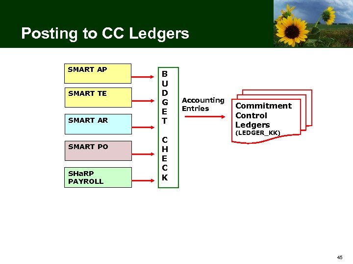 Posting to CC Ledgers SMART AP SMART TE SMART AR SMART PO SHa. RP