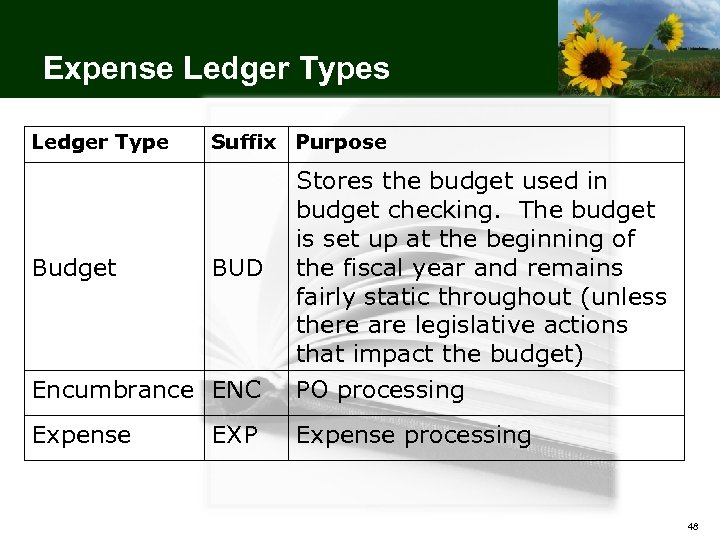Expense Ledger Types Ledger Type Suffix Purpose Encumbrance ENC Stores the budget used in