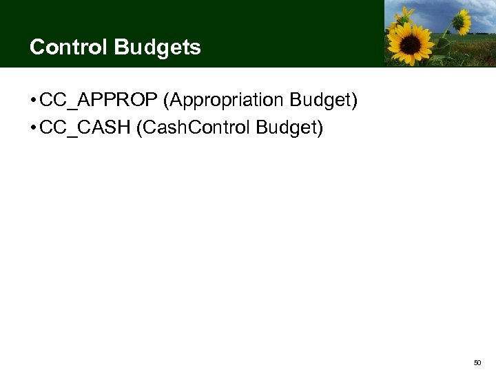 Control Budgets • CC_APPROP (Appropriation Budget) • CC_CASH (Cash. Control Budget) 50 