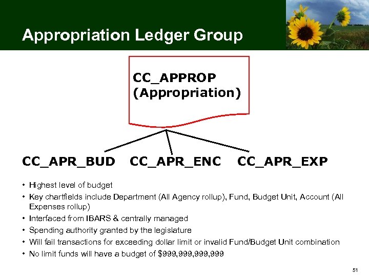 Appropriation Ledger Group CC_APPROP (Appropriation) CC_APR_BUD CC_APR_ENC CC_APR_EXP • Highest level of budget •