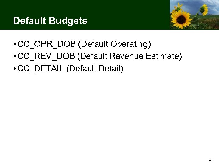 Default Budgets • CC_OPR_DOB (Default Operating) • CC_REV_DOB (Default Revenue Estimate) • CC_DETAIL (Default