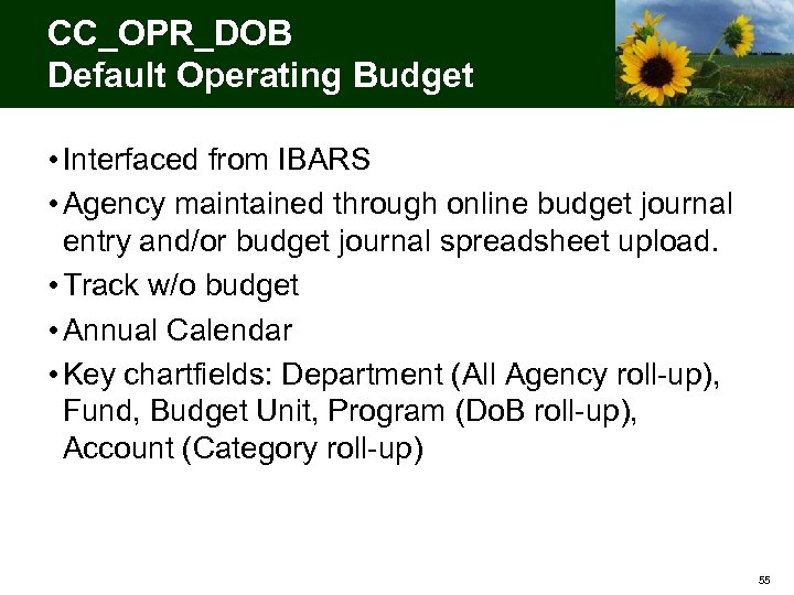 CC_OPR_DOB Default Operating Budget • Interfaced from IBARS • Agency maintained through online budget