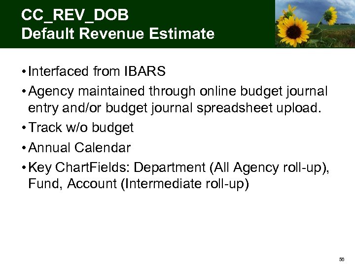 CC_REV_DOB Default Revenue Estimate • Interfaced from IBARS • Agency maintained through online budget