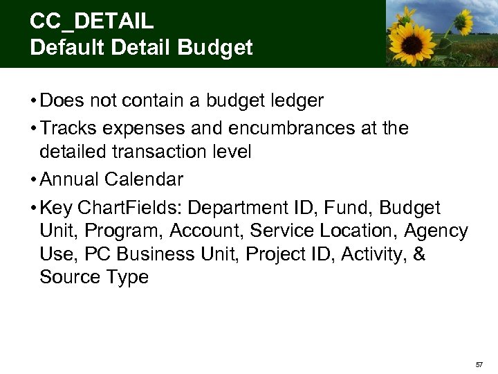 CC_DETAIL Default Detail Budget • Does not contain a budget ledger • Tracks expenses