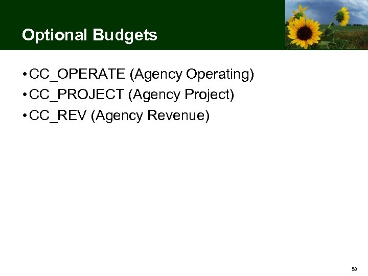Optional Budgets • CC_OPERATE (Agency Operating) • CC_PROJECT (Agency Project) • CC_REV (Agency Revenue)