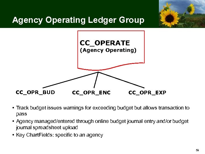 Agency Operating Ledger Group CC_OPERATE (Agency Operating) CC_OPR_BUD CC_OPR_ENC CC_OPR_EXP • Track budget issues