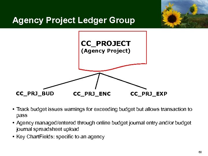 Agency Project Ledger Group CC_PROJECT (Agency Project) CC_PRJ_BUD CC_PRJ_ENC CC_PRJ_EXP • Track budget issues