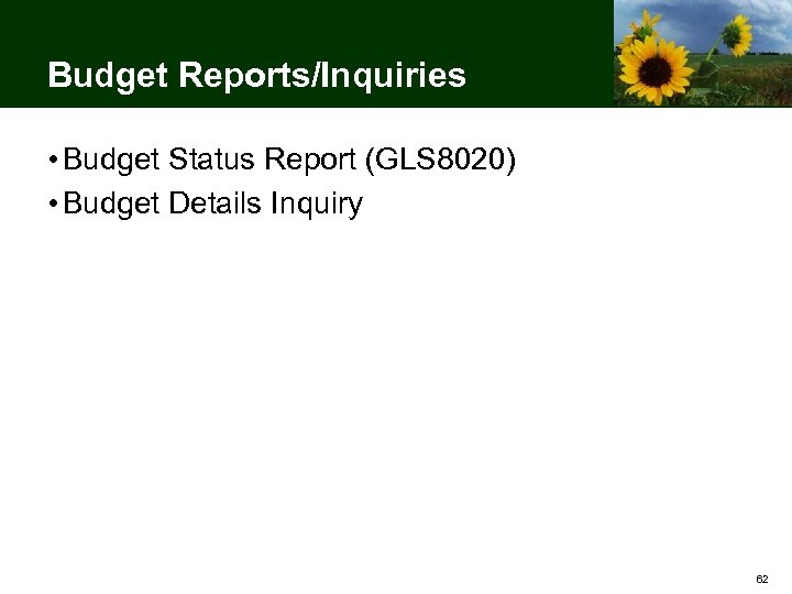 Budget Reports/Inquiries • Budget Status Report (GLS 8020) • Budget Details Inquiry 62 