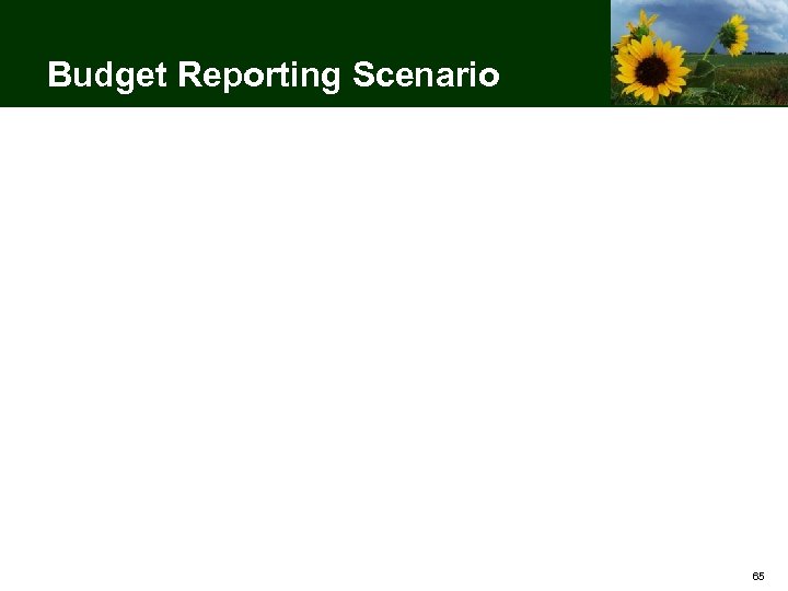 Budget Reporting Scenario 65 