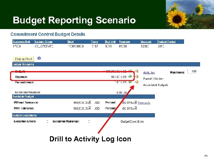 Budget Reporting Scenario Drill to Activity Log Icon 71 