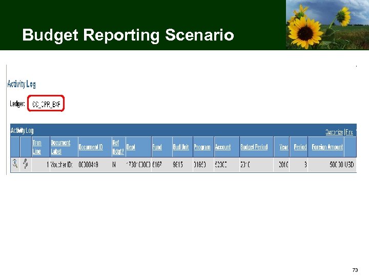 Budget Reporting Scenario 73 