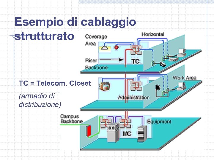 Esempio di cablaggio strutturato TC = Telecom. Closet (armadio di distribuzione) 