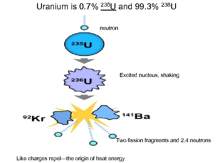 Uranium is 0. 7% 235 U and 99. 3% 238 U neutron Excited nucleus,