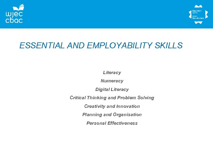 ESSENTIAL AND EMPLOYABILITY SKILLS Literacy Numeracy Digital Literacy Critical Thinking and Problem Solving Creativity