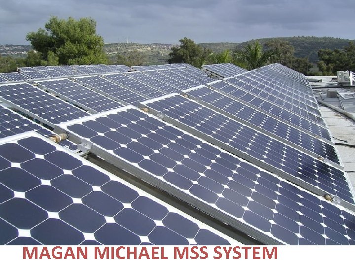 MAGAN MICHAEL MSS SYSTEM 