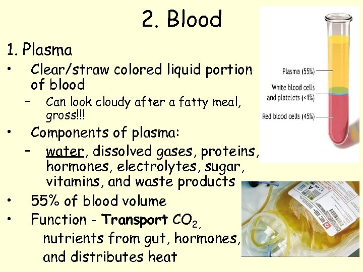 2. Blood 1. Plasma • – • Clear/straw colored liquid portion of blood Can