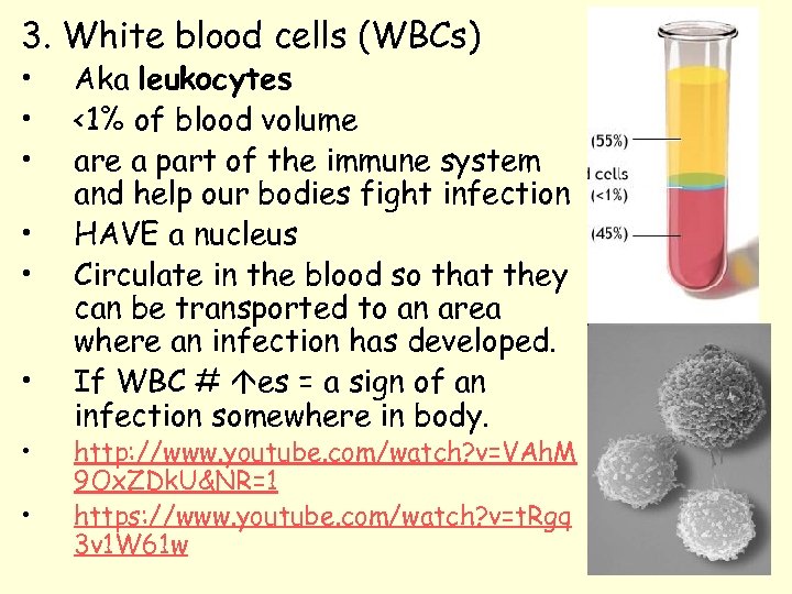 3. White blood cells (WBCs) • • Aka leukocytes <1% of blood volume are