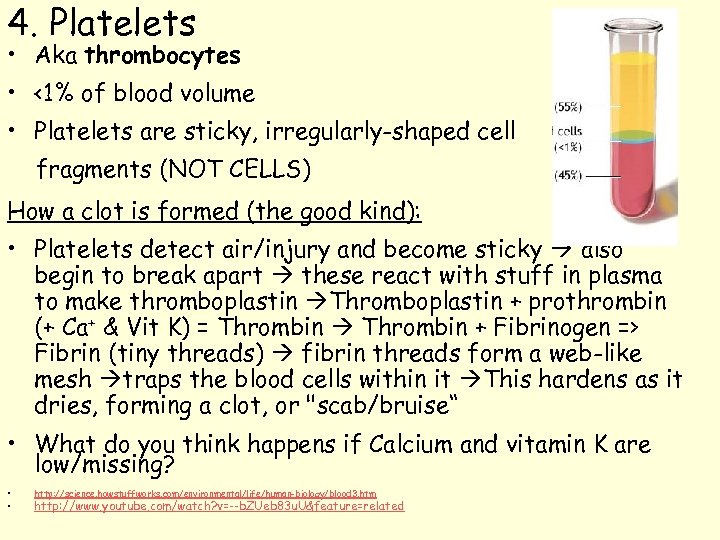4. Platelets • Aka thrombocytes • <1% of blood volume • Platelets are sticky,