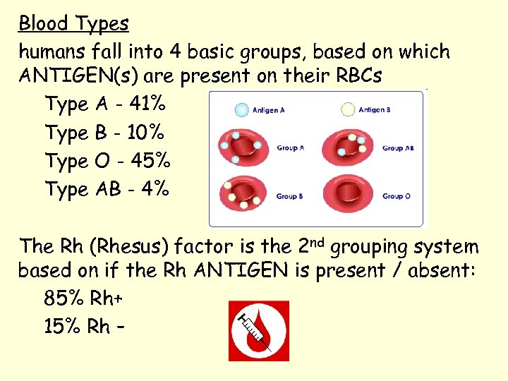 Blood Types humans fall into 4 basic groups, based on which ANTIGEN(s) are present